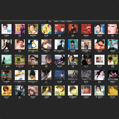 iTunes 8.0 Grid View